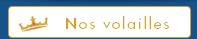 Nos volailles